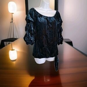 MSK Pop Over Top XL Teal Green Velvet Burnout Floral Puff Sleeves Party Fairy